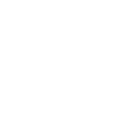 IN YOUR SHOE